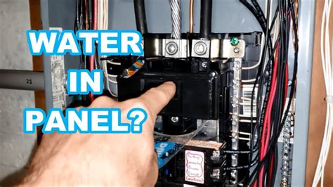 water in electrical panel box